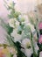 Watercolor art background nature delicate light pink romantic bright flower gladiolus