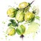 Watercolor art capturing the vibrant essence of gooseberries with energetic green splashes