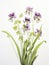 Watercolor Art of Drosophyllum Lusitanicum on White Backdrop AI Generated