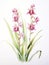 Watercolor Art of Habenaria Radiata on White Backdrop AI Generated