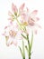 Watercolor Art of Ixia Viridiflora on White Backdrop AI Generated