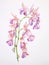 Watercolor Art of Peristeria Elata on White Backdrop AI Generated