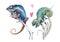 Watercolor artistic chameleons in love