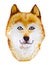 Watercolor artistic orange dog portrait on white background.