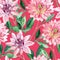 Watercolor aster seamless pattern