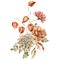 Watercolor autumn bouquet of dahlia, rose, physalis and leaves. Hand painted meadow flowers isolated on white background