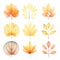 Watercolor Autumn Leaves Set: Opacity, Translucency, Light Orange And Gold