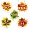 Watercolor autumn leaves with text. Vector