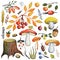 Watercolor autumn mushrooms,berries,branches,wood set