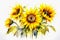 Watercolor autumn sunflowers on white background. Floral watercolor illustration for design, print, fabric or background