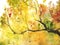 Watercolor autumn yellow orange green tree leaf foliage branch texture background