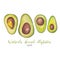 Watercolor avocado illustration for notebook, cover, book, stickers, banner, logo, card