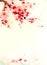 Watercolor background cherry blossom