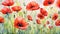 watercolor background featuring vibrant red poppies