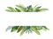 Watercolor banner tropical leaves and branches isolated on white background.