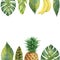 Watercolor banner tropical leaves, pineapple and banana isolated on white background.