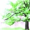 Watercolor beautiful green tree. Hand drawn illustration for card, postcard, cover, invitation, textile