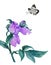 Watercolor beautiful lilac flower