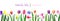 Watercolor beautiful loose style pink, red, violet, yellow tulip flower and green leaves banner. Modern color trendy