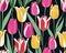 watercolor Beautiful lush tulips background