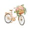 Watercolor beautiful peach pink bicycle and pretty rose flowers in a wooden garden box, isolated. Romantic vintage bike