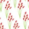 Watercolor beautiful red cornflower seamless pattern. Abstract floral illustration isolated on white background. Hand