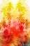 Watercolor beautiful retro tropics palm trees background