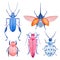 Watercolor beetle set