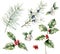 Watercolor berries Christmas seamless pattern. Hand painted holiday plant with holly, mistletoered and juniper isolated