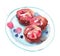 watercolor berry cakes on plate, with raspberry and blueberry illustration