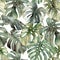 Watercolor big seamless pattern with tropical monstera. Hand painted exotic leaves and branches isolated on white