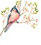 Watercolor bird card: tufted titmouse on a blooming branch.