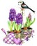 Watercolor Bird and Garden flowers background.