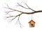 Watercolor birdhouse hanging on branch.isolated white background.