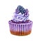 Watercolor blackberry cupcake with flowers illustration