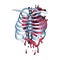 Watercolor bleeding human heart inside skeleton bones