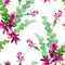 Watercolor Blooming Christmas Cactus Seamless Pattern, Thanksgiving cactus, Flowers Schlumbergera on White Background