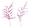 Watercolor Blossom Japanese flower branches, floral art nature tree. Spring festival, isolated blooming pink branches.