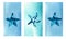 Watercolor blue background, poster, banner or template with starfish