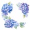 Watercolor Blue Hydrangea Flower Set With Elaborate Borders