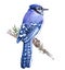 Watercolor Blue Jay  bird animal