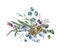 Watercolor blue winter flowers, wildflowers. Vintage botanical greeting card