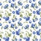 Watercolor blueberries seamless pattern