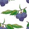 Watercolor blueberries seamless pattern