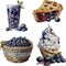 Watercolor blueberry sweet collection of Ice cream, beverage and goods.