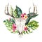 Watercolor bohemian cow skull and tropic palm leaves. Western deer mammals. Tropical deer boho decoration print antlers