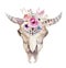 Watercolor bohemian cow skull. Western mammals. Watercolour hip