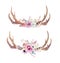 Watercolor bohemian deer horns. Western mammals. Watercolour hip