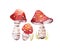 Watercolor bohemian forest mushrooms poster, woodland isolated amanita illustration, fly agaric, boletus, orange-cap