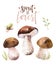 Watercolor bohemian forest mushrooms poster, woodland isolated amanita illustration, fly agaric, boletus, orange-cap